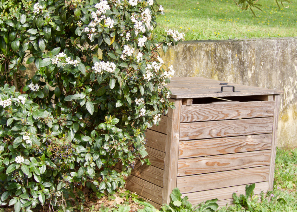 Beginner’s Guide To Composting